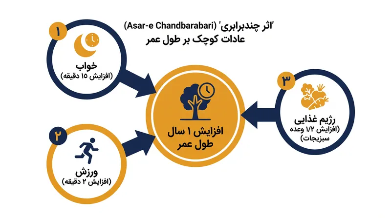 ترکیب بهبودهای کوچک در خواب، رژیم غذایی و ورزش، مزایای طول عمری به بار می‌آورد که از مجموع اجزای آنها فراتر است.