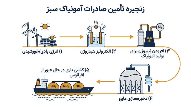 برای صادرات انرژی سبز در سطح جهانی، هیدروژن اغلب به آمونیاک سبز تبدیل میشود که مایع کردن و حمل و نقل آن از طریق دریا آسانتر است.