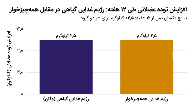 هنگامی که کل مصرف پروتئین روزانه یکسان باشد، رژیم‌های غذایی گیاهی و همه‌چیزخوار رشد عضلانی یکسانی را به همراه دارند.