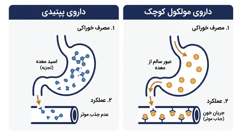 برخلاف قرص‌های مبتنی بر پپتید قبلی، داروهای GLP-1 با مولکول کوچک به گونه‌ای طراحی شده‌اند که از نظر شیمیایی در برابر اسیدهای قوی معده سالم بمانند.