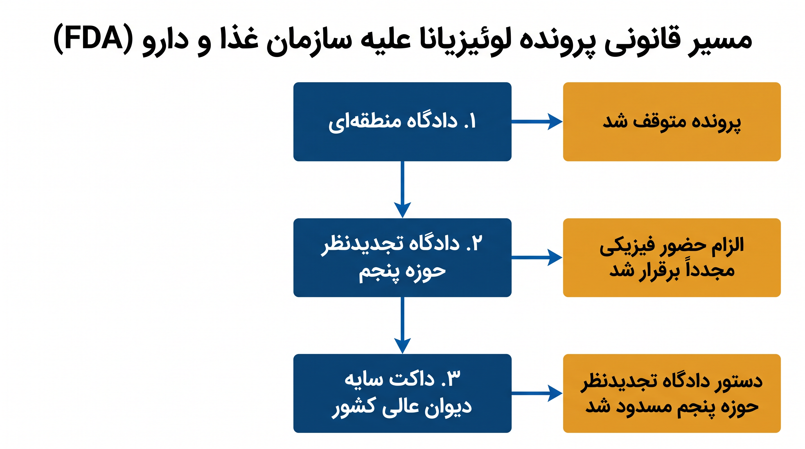 پیشرفت سریع درخواستهای اضطراری، پرونده را در عرض چند هفته به داکت سایه دیوان عالی کشور کشاند.