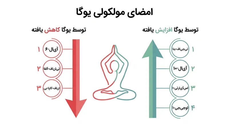 یوگا به طور مؤثر صدای ژنهای التهابی را کاهش داده و ژنهای مسئول ترمیم سلولی را تقویت میکند.