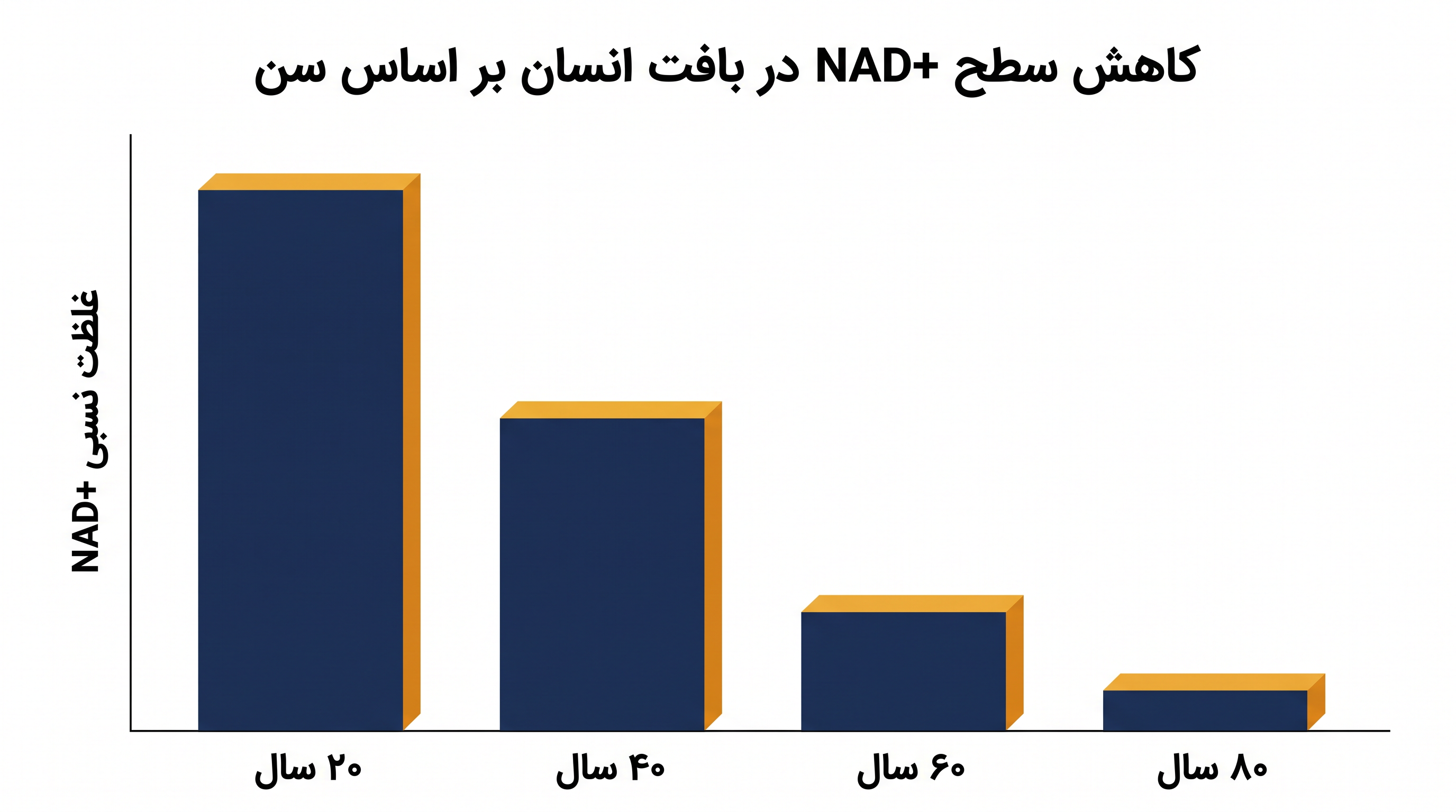 سطح NAD+ انسان بین اوایل بزرگسالی و سن ۶۰ سالگی تا ۵۰٪ کاهش می‌یابد.