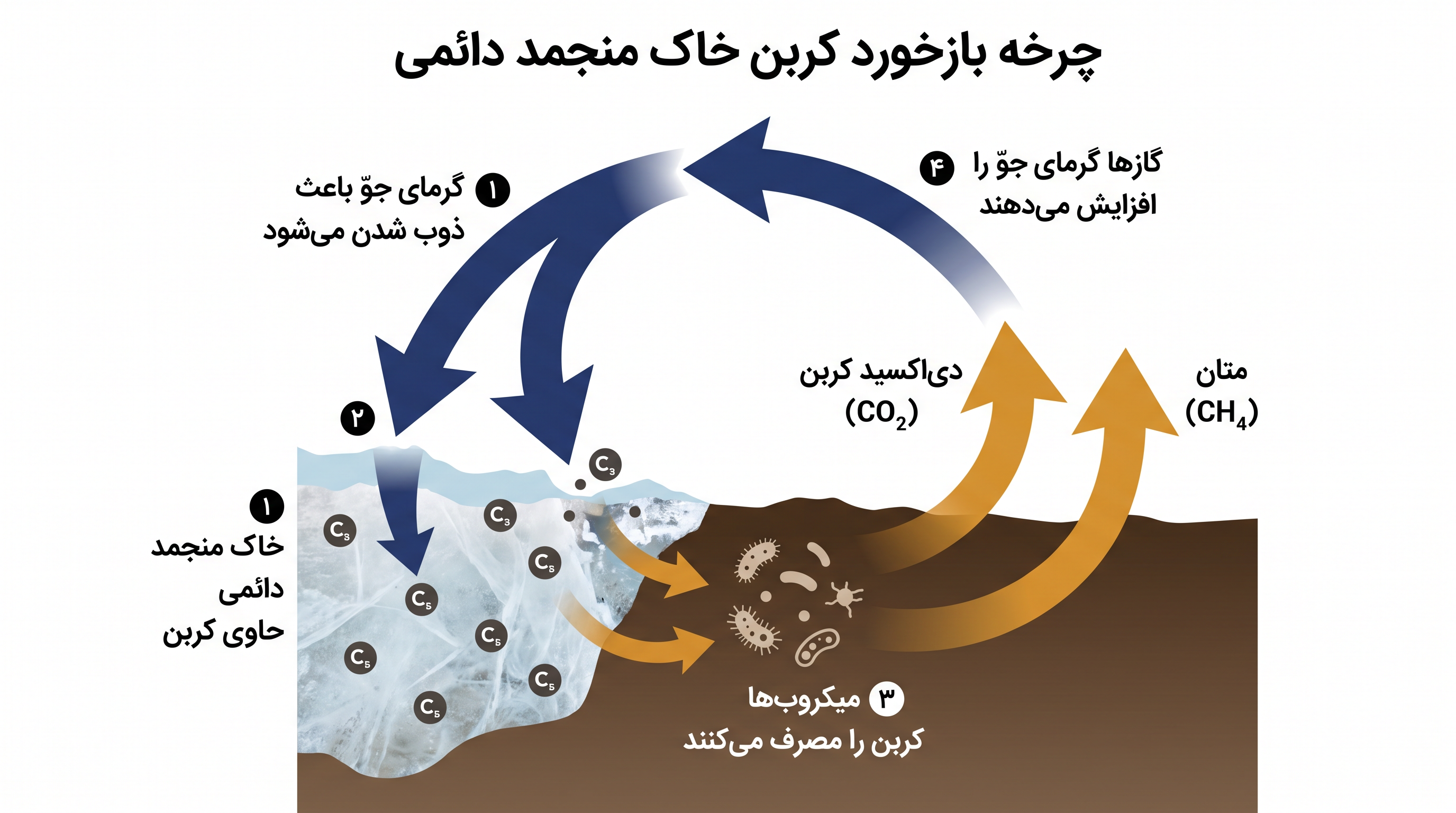 سازوکار زیستی عامل انتشار گازهای گلخانهای از خاک منجمد دائمی.