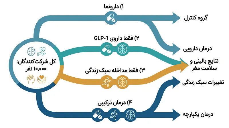 این کارآزمایی ۱۰,۰۰۰ شرکتکننده را به چهار گروه تقسیم میکند تا تأثیرات دارو، تغییرات سبک زندگی و ترکیب این دو را جداگانه بررسی کند.