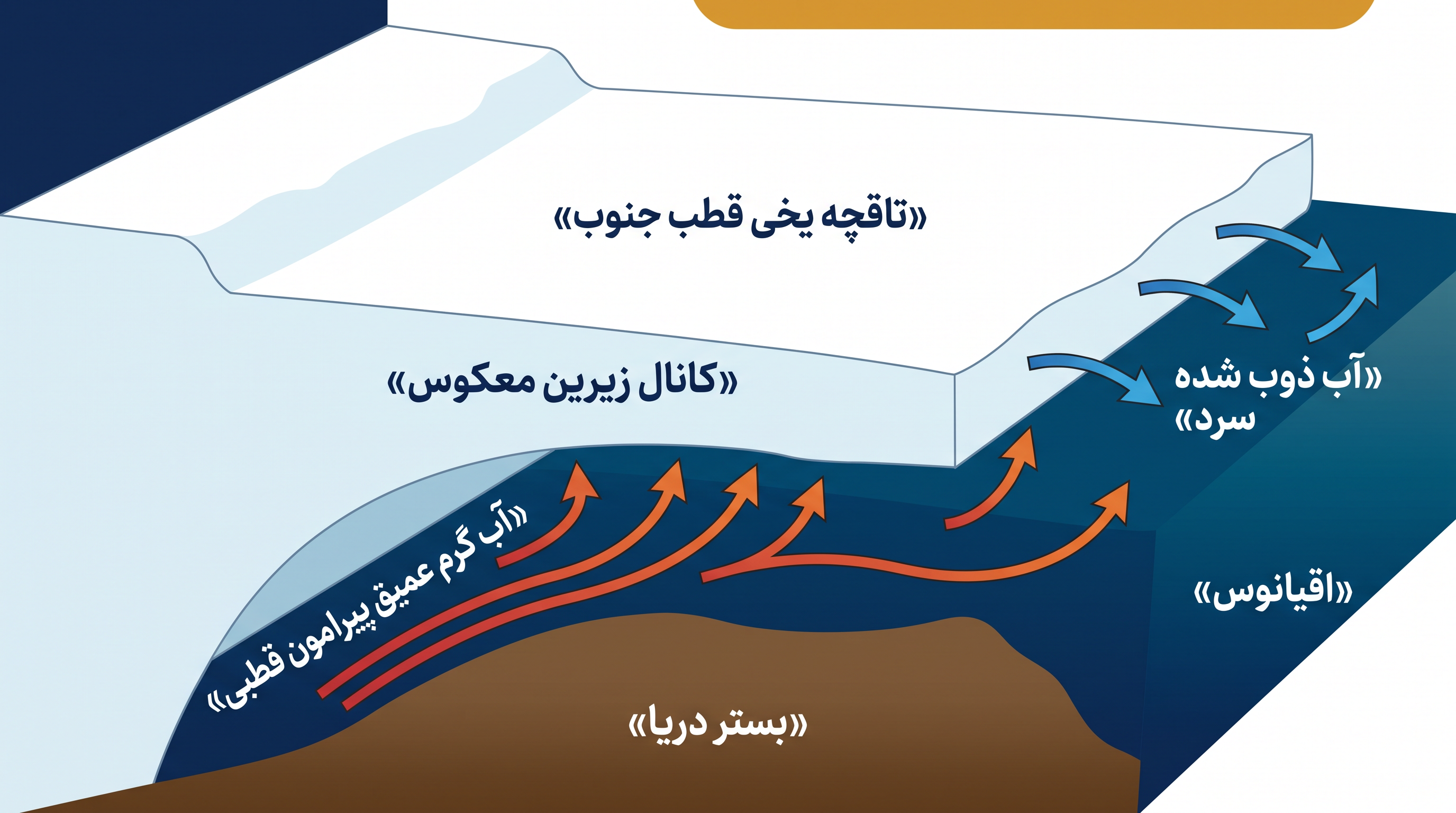 آب گرم اقیانوس به کانالهای معکوس زیر یخ سرازیر شده و ذوب شدن موضعی را تسریع میکند.