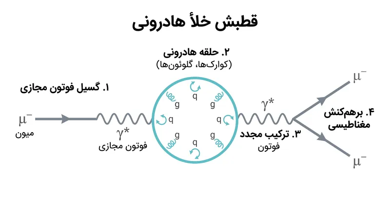 تعامل پیچیده نیروی هستهای قوی که نظریهپردازان با استفاده از کرومودینامیک کوانتومی شبکهای (Lattice QCD) شبیهسازی کردند.