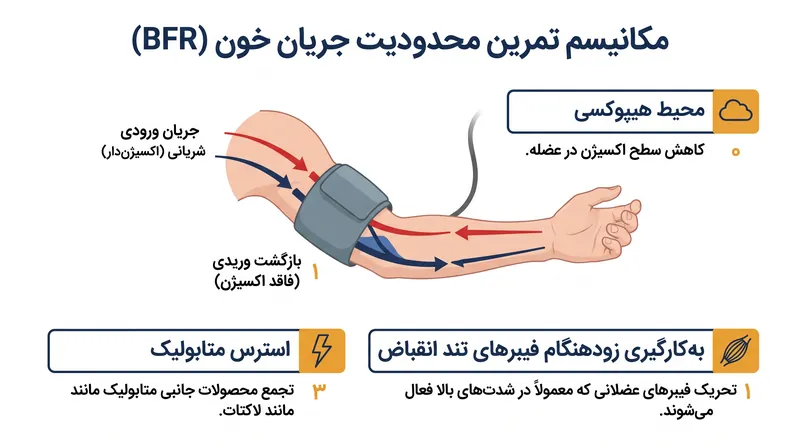 با محدود کردن بازگشت وریدی، تمرین محدودیت جریان خون (BFR) یک محیط هیپوکسی موضعی ایجاد می‌کند که باعث به کارگیری زودهنگام فیبرهای عضلانی تند انقباض می‌شود.