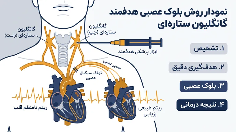 درک تقسیم عصبی چپ و راست میتواند درمانهای بسیار هدفمند و مختص یک طرف را برای آریتمیهای قلبی امکانپذیر سازد.