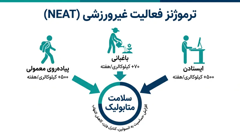 ترموژنز فعالیت غیرورزشی (NEAT) به کالریهایی اطلاق میشود که در طول حرکات روزمره و غیرساختاریافته سوزانده میشوند.