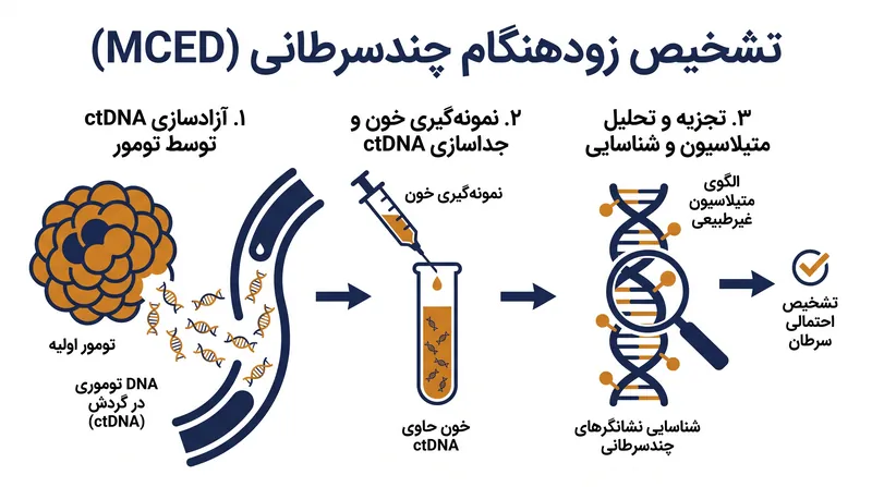نحوه عملکرد تشخیص زودهنگام چندسرطانی (MCED): شناسایی سرطان از طریق قطعات DNA آزادشده.