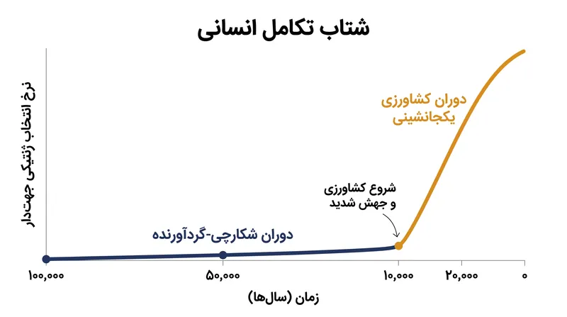نرخ انتخاب ژنتیکی جهتدار پس از روی آوردن انسانها به کشاورزی یکجانشینی، به شدت افزایش یافت.
