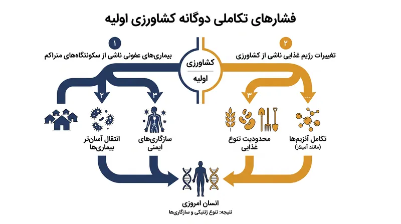 سکونتگاههای متراکم و رژیمهای غذایی جدید، سیستمهای ایمنی و متابولیک انسان را مجبور به سازگاری سریع کردند.