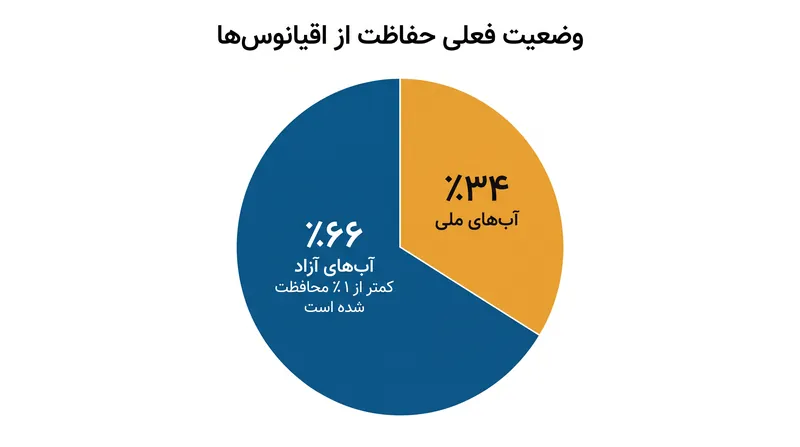 با وجود پوشش دو سوم اقیانوس جهانی، در حال حاضر کمتر از ۱٪ (یک درصد) از آب‌های آزاد محافظت شده‌اند.