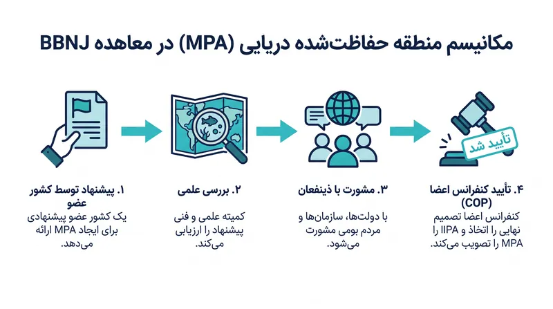 مسیر استاندارد برای تأسیس منطقه حفاظت‌شده دریایی تحت توافقنامه BBNJ.