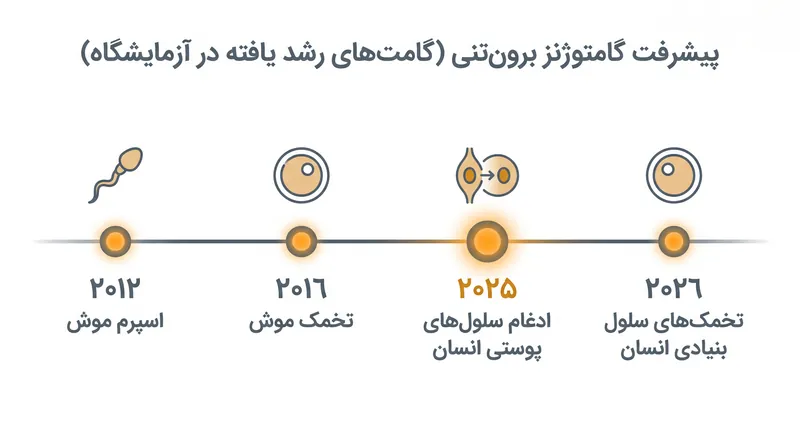 گاهشمار پیشرفتهای عمده در گامتوژنز آزمایشگاهی در طول دهه گذشته.
