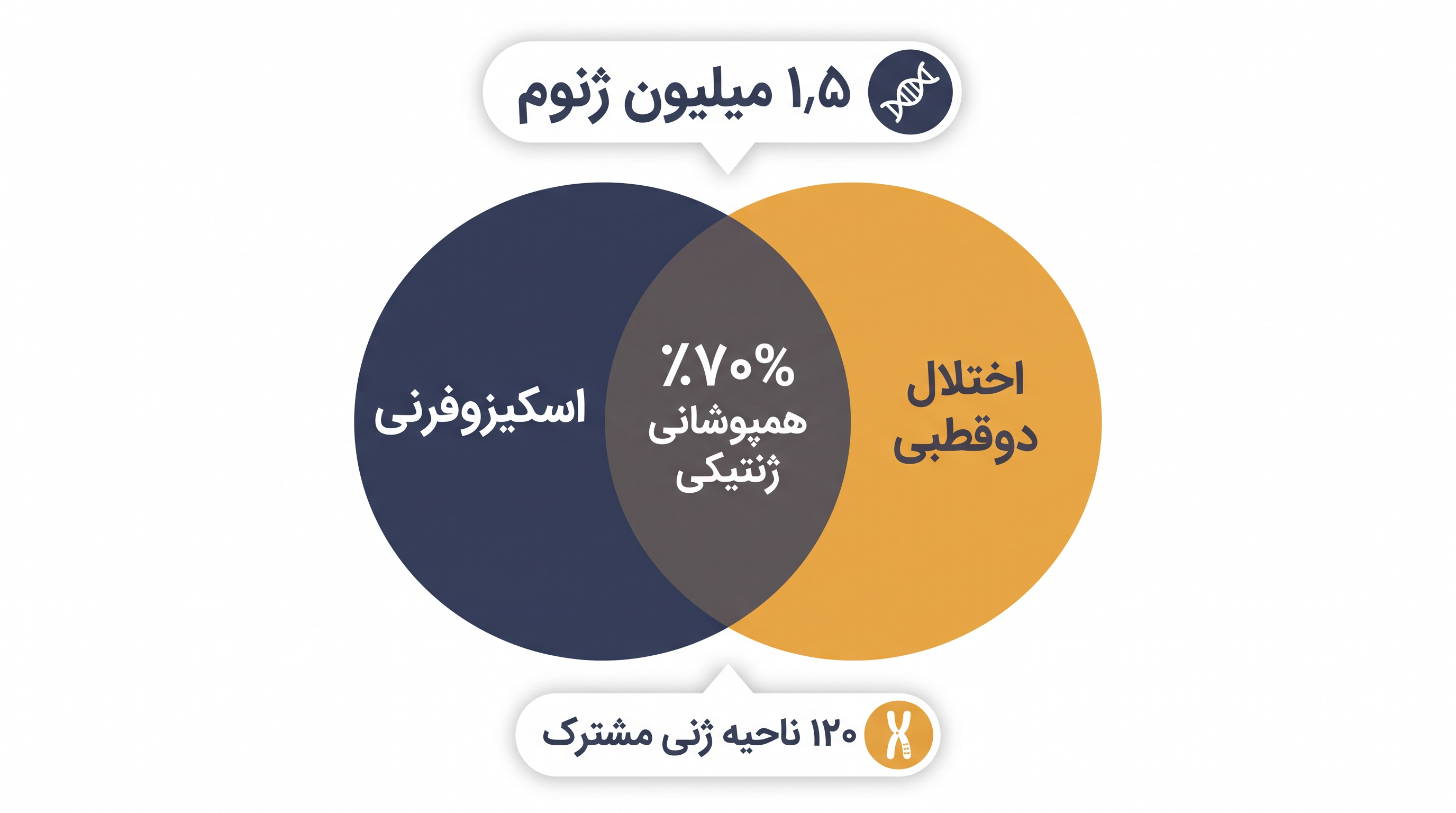 این مطالعه ۱۲۰ ناحیه ژنی خاص را شناسایی کرد که خطر ابتلا به هر دو بیماری را افزایش میدهند.