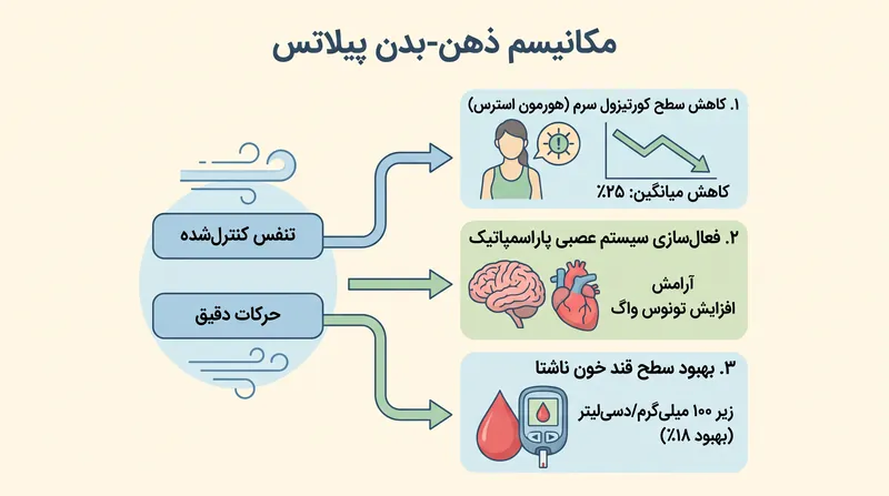 با فعالسازی سیستم عصبی پاراسمپاتیک، پیلاتس به کاهش کورتیزول و تسکین استرس مزمن کمک میکند.