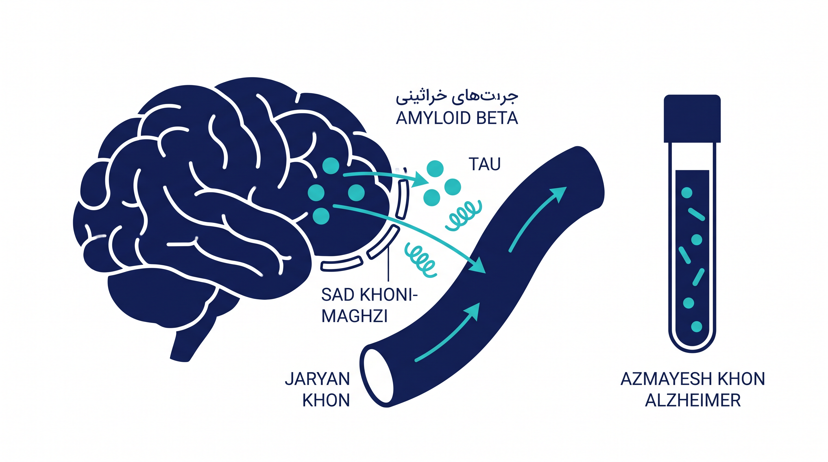 این آزمایش نسبت پروتئین‌های آمیلوئید بتا و پی-تاو ۲۱۷ را که از مغز وارد جریان خون می‌شوند، اندازه‌گیری می‌کند.