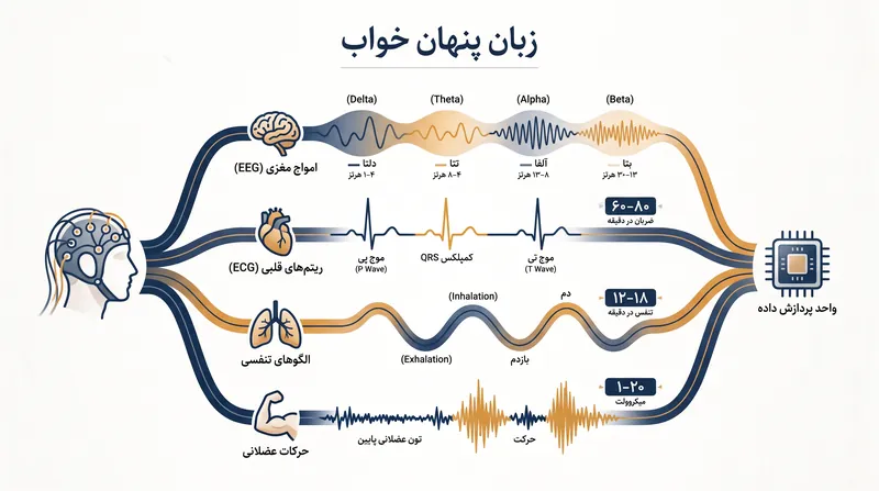 پلیسومنوگرافی جریان پیوسته و متراکمی از دادههای فیزیولوژیک را ثبت میکند که پزشکی سنتی عمدتاً آنها را تحلیل نشده باقی گذاشته است.