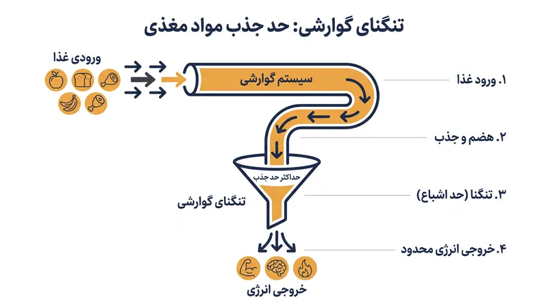 محدودیت گوارشی حداکثر نرخی را دیکته می‌کند که روده می‌تواند کالری‌ها را جذب کرده و آن‌ها را به انرژی تبدیل کند.
