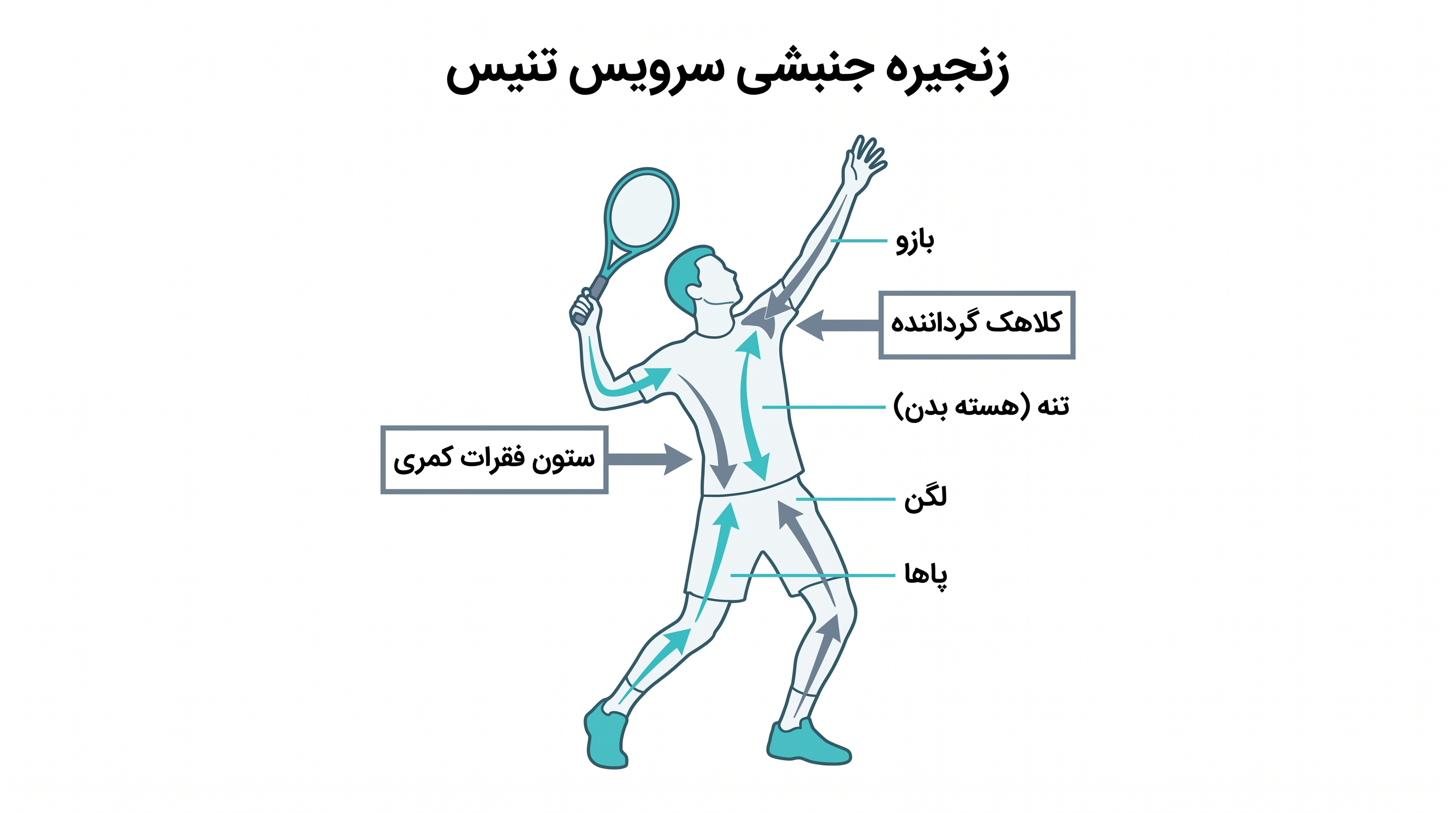 گذار به زمینهای سخت، فشار چرخشی عظیمی بر ستون فقرات و شانه وارد میکند و نیازمند مدیریت دقیق بار است.
