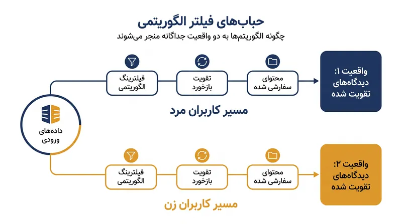 الگوریتمهای رسانههای اجتماعی اغلب محتوای بسیار متفاوتی به کاربران زن و مرد ارائه میدهند و واقعیتهای دیجیتالی منزوی را تقویت میکنند.