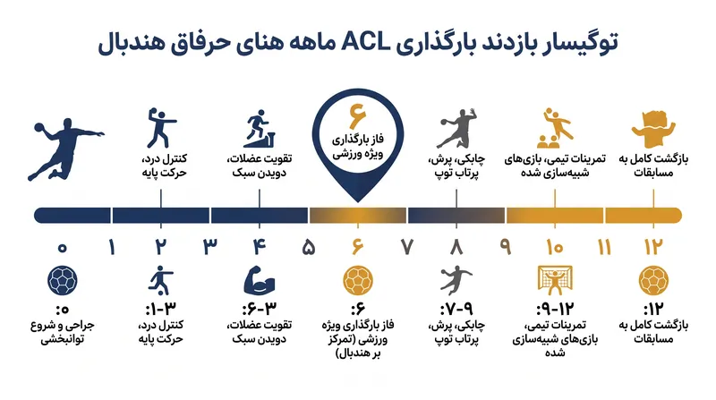 جدول زمانی استاندارد ۹ تا ۱۲ ماهه برای توانبخشی رباط صلیبی قدامی (ACL) در هندبال نخبه.
