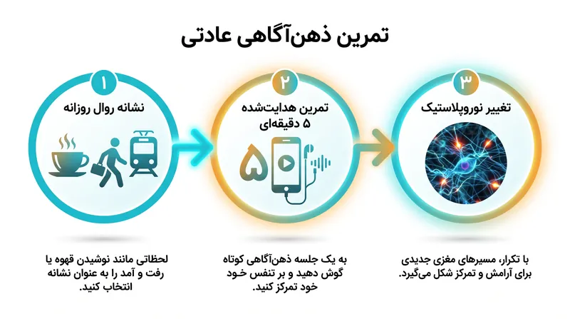 گنجاندن تمرینات شناختی کوتاه در روالهای روزمره موجود، مانع رایج محدودیتهای زمانی را دور میزند.