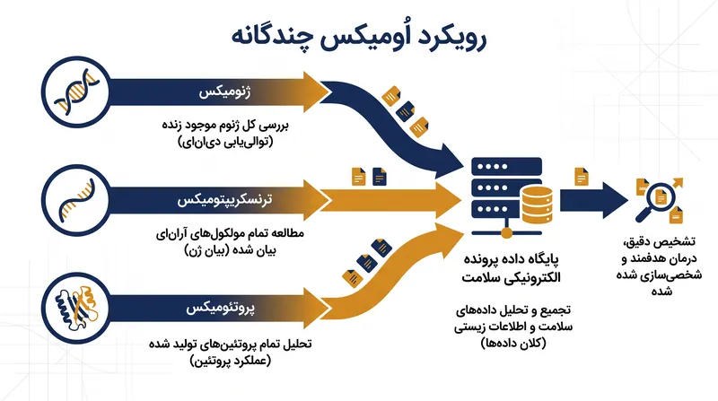 دادههای اُومیکس چندگانه به محققان این امکان را میدهد تا مسیر بیولوژیکی را از یک جهش ژنتیکی تا بیان فعال پروتئین ردیابی کنند.