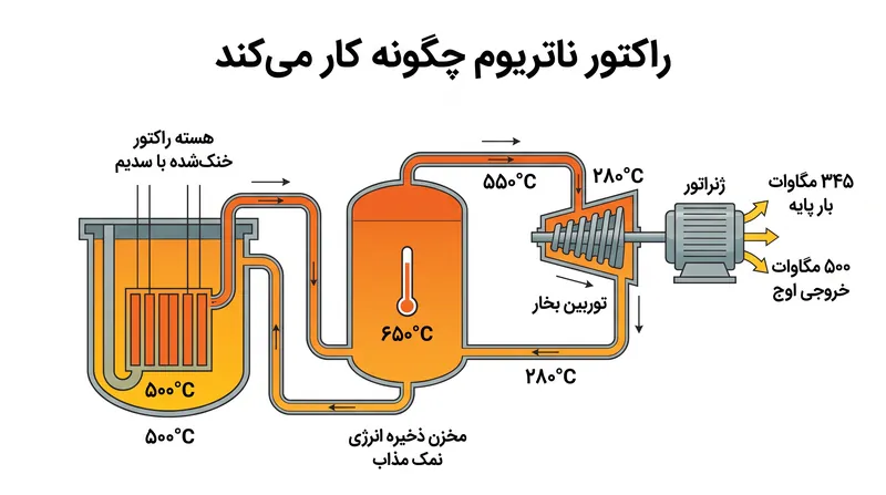 طراحی ناتریوم شرکت تراپاور از سدیم مایع برای خنکسازی و از نمک مذاب برای ذخیره انرژی حرارتی استفاده میکند، که به آن اجازه میدهد خروجی برق را در طول اوج تقاضا افزایش دهد.