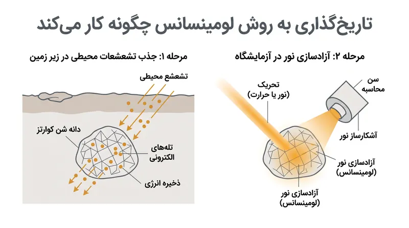 تاریخ‌گذاری به روش لومینسانس به محققان اجازه داد تا دقیقاً مشخص کنند شن‌های اطراف تنه‌های درخت آخرین بار چه زمانی در معرض نور خورشید قرار گرفته‌اند.