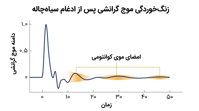 رصدخانههای امواج گرانشی آینده ممکن است قادر به شناسایی «پژواکهای» ضعیف در مرحله زنگخوردگی ادغام سیاهچالهها باشند، که شواهد تجربی برای «موی کوانتومی» ارائه میدهد.