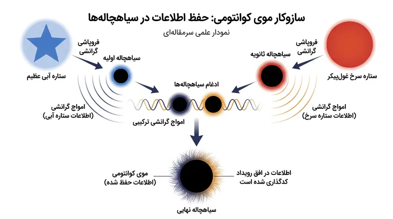 در سطح کوانتومی، میدان گرانشی یک سیاهچاله، حافظهای از ترکیب شیمیایی خاص ستارهای که آن را تشکیل داده است، حفظ میکند.