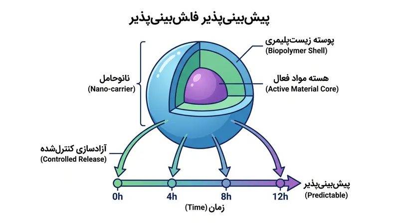 میکروکپسولهسازی پیشبینیپذیر امکان آزادسازی پایدار مواد فعال را طی ۱۲ ساعت فراهم میکند.