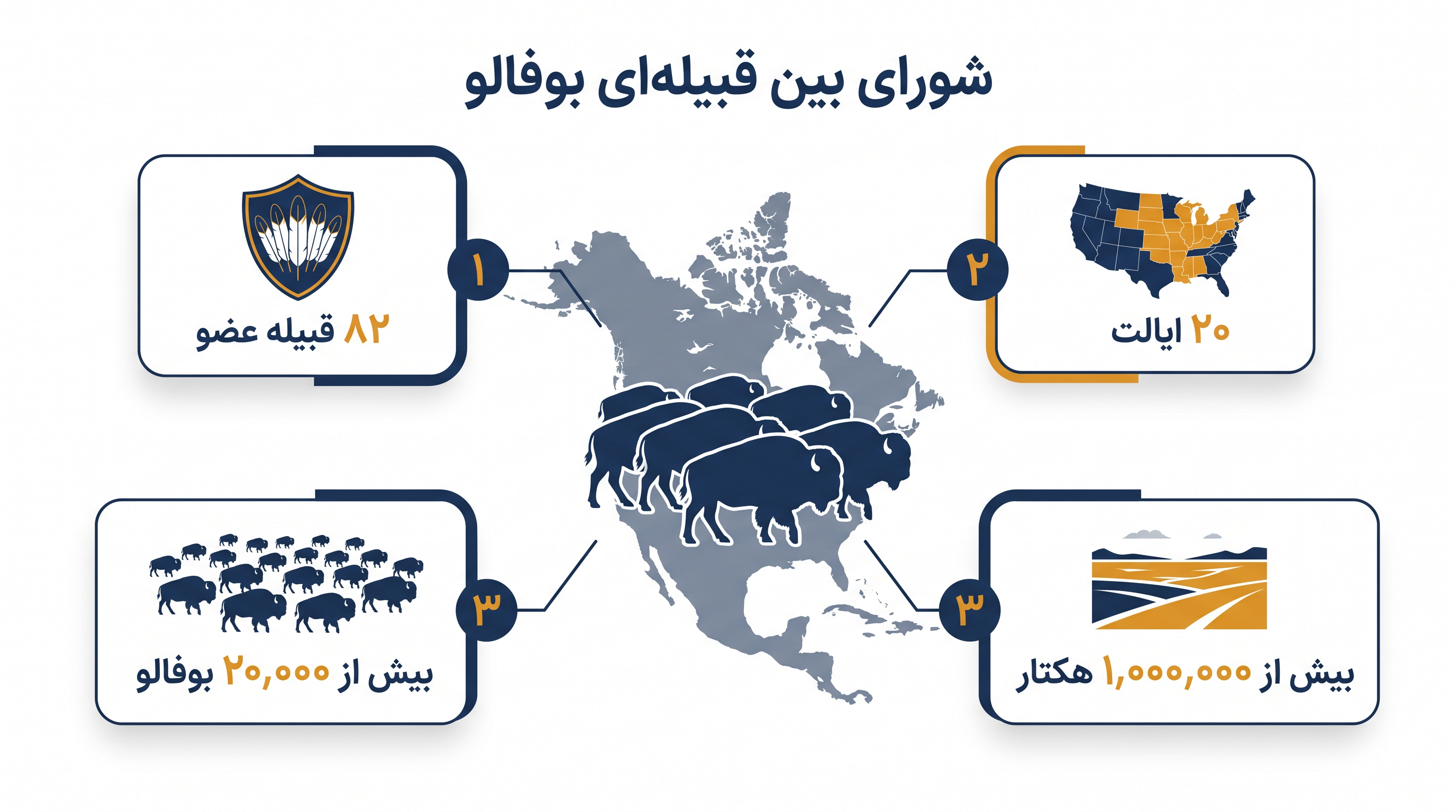شورای بین قبیلهای بوفالو یک شبکه گسترده از گلههای احیا شده را در سراسر ایالات متحده مدیریت میکند.