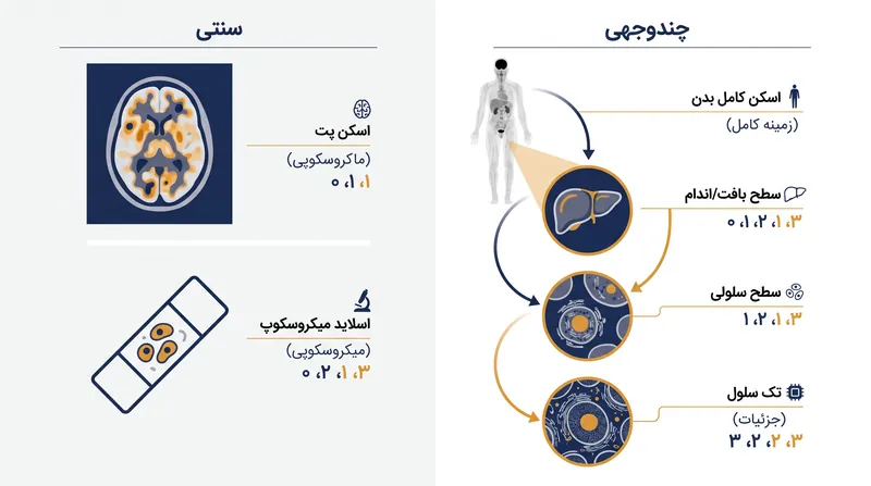 رویکرد جدید نیاز به انتخاب بین زمینه ماکروسکوپی و جزئیات میکروسکوپی را از بین میبرد.