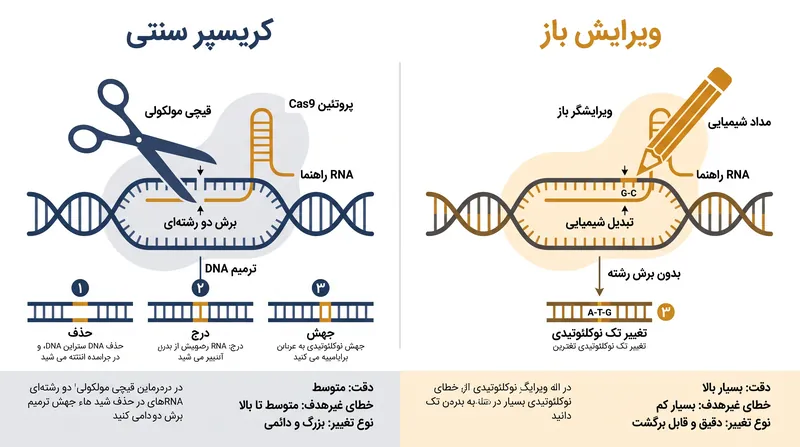 برخلاف کریسپر سنتی که مارپیچ دوگانه DNA را برش میدهد، ویرایش باز به صورت شیمیایی یک باز ژنتیکی منفرد را تبدیل میکند و خطر جهشهای ناخواسته را کاهش میدهد.