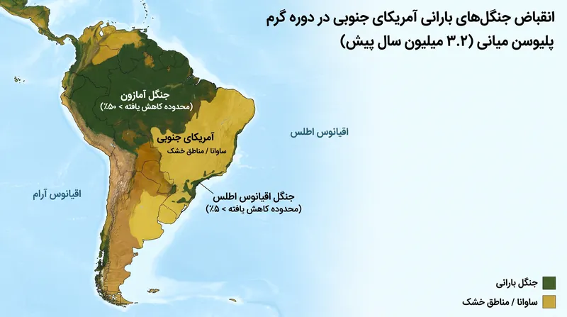 در طول پلیوسن میانی، زمانی که دمای جهانی تقریباً ۴ درجه سانتیگراد گرمتر بود، آمازون کمتر از نصف مساحت کنونی خود را اشغال کرده بود.