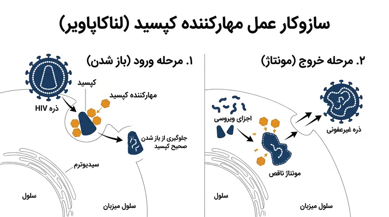 لناکاپاویر، برخلاف داروهای قدیمیتر، با هدف قرار دادن پوسته پروتئینی محافظ ویروس، در چندین مرحله از چرخه زندگی HIV تداخل ایجاد میکند.