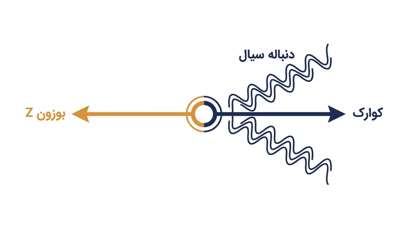 فیزیکدانان با ردیابی بوزون Z بدون مانع، توانستند مسیر دقیق و دنباله سیال کوارک مخالف را جدا کنند.