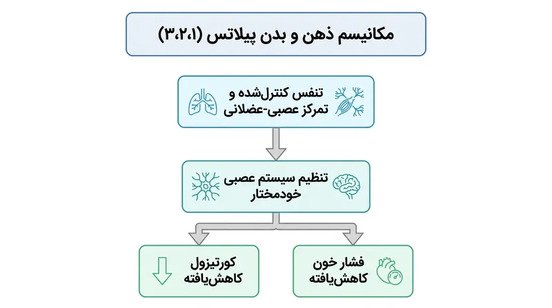 مزایای کاردیومتابولیک پیلاتس عمدتاً ناشی از توانایی آن در تعدیل سیستم عصبی خودمختار و کاهش هورمونهای استرس است.