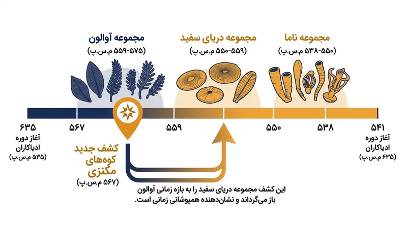 فسیلهای جدید، مجموعه پیشرفته دریای سفید را به بازه زمانی مجموعه قدیمیتر آوالون باز میگردانند.