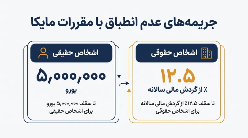 نهادهای نظارتی از اختیارات تنبیهی گستردهای علیه نهادهای غیرمجازی که پس از مهلت مقرر فعالیت میکنند، برخوردارند.