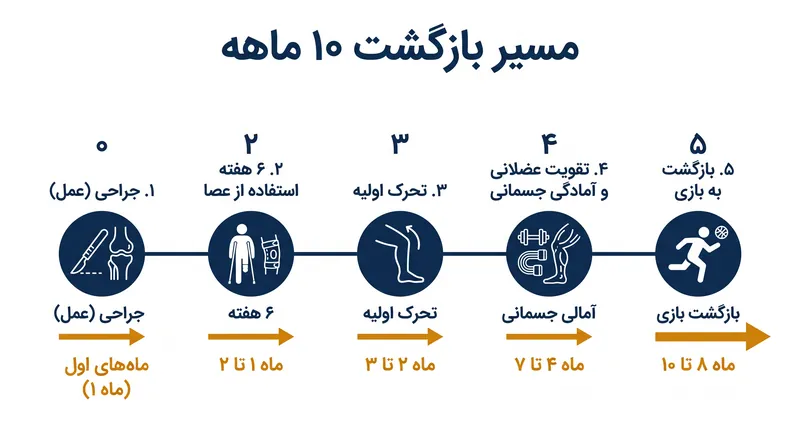 جدول زمانی استاندارد برای ریکاوری بازیکن نخبه هندبال پس از بازسازی چند رباطی زانو.