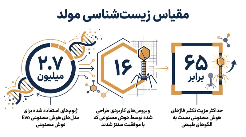 مدلهای هوش مصنوعی میلیونها ژنوم موجود را تجزیه و تحلیل کردند تا قوانین طراحی بیولوژیکی را بیاموزند، قبل از تولید ویروسهای جدید و بسیار کارآمد.