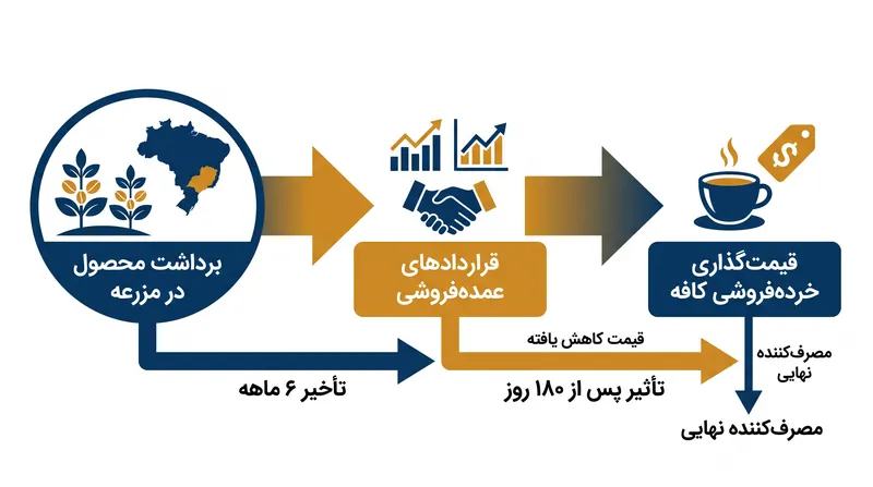 چگونگی رسیدن قیمتهای عمدهفروشی قهوه به سطح خردهفروشی.
