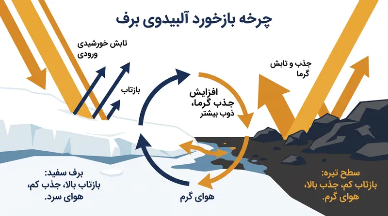 حلقه بازخورد آلبیدوی برف، محرک اصلی گرمایش وابسته به ارتفاع است.