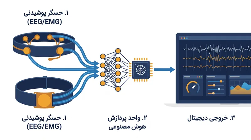 چگونه هوش مصنوعی سیگنال‌های الکتریکی خام را از سیستم عصبی به دستورات دیجیتال قابل اقدام ترجمه می‌کند.