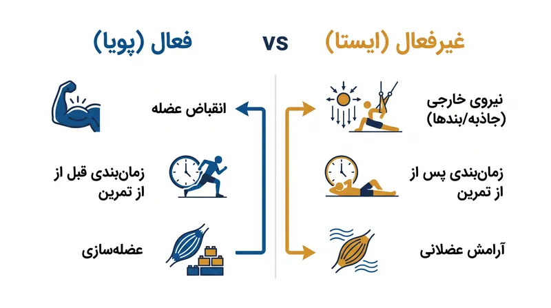 درک تفاوتهای مکانیکی و عصبی بین کشش فعال و غیرفعال.